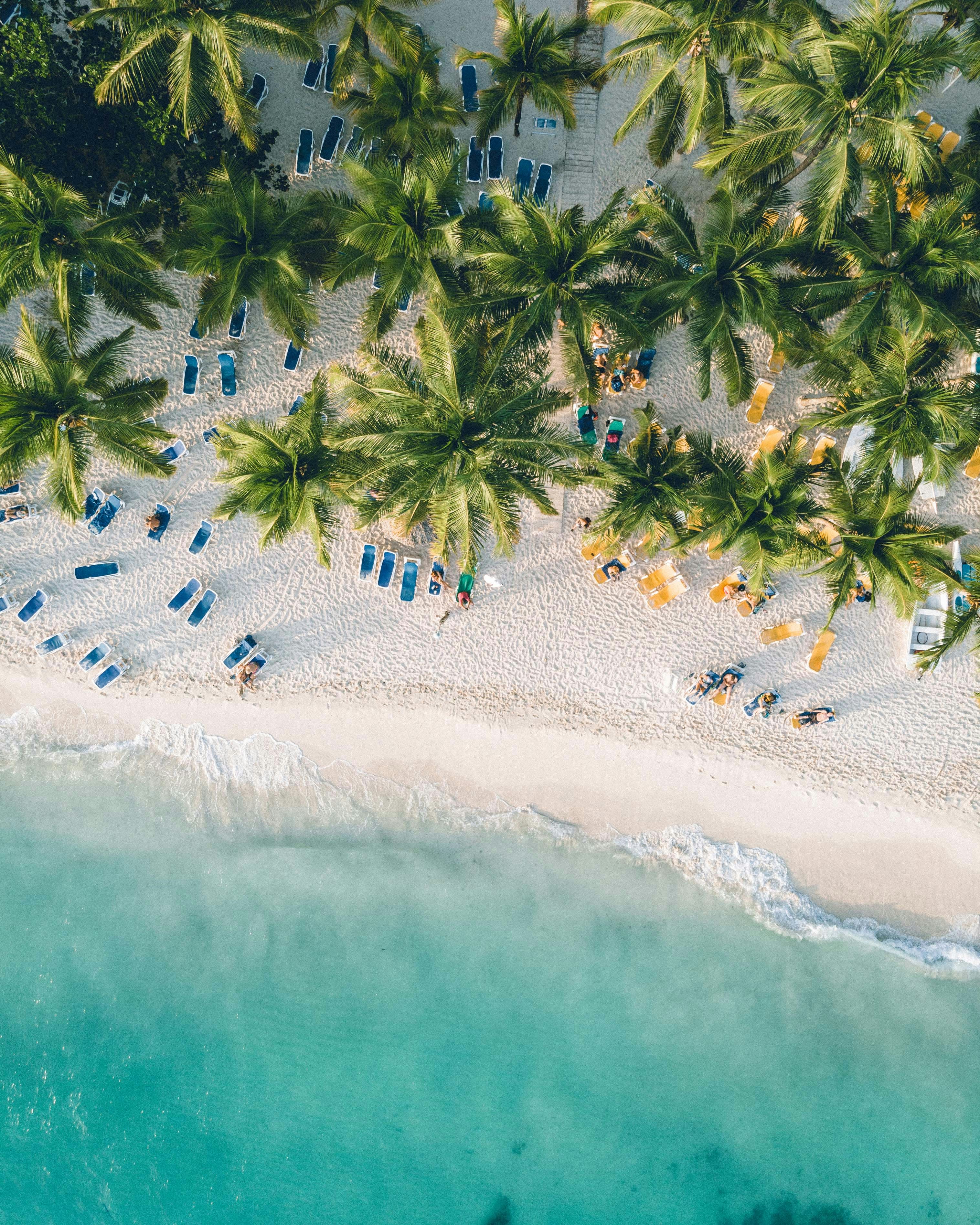 Tropical beach with lounge chairs