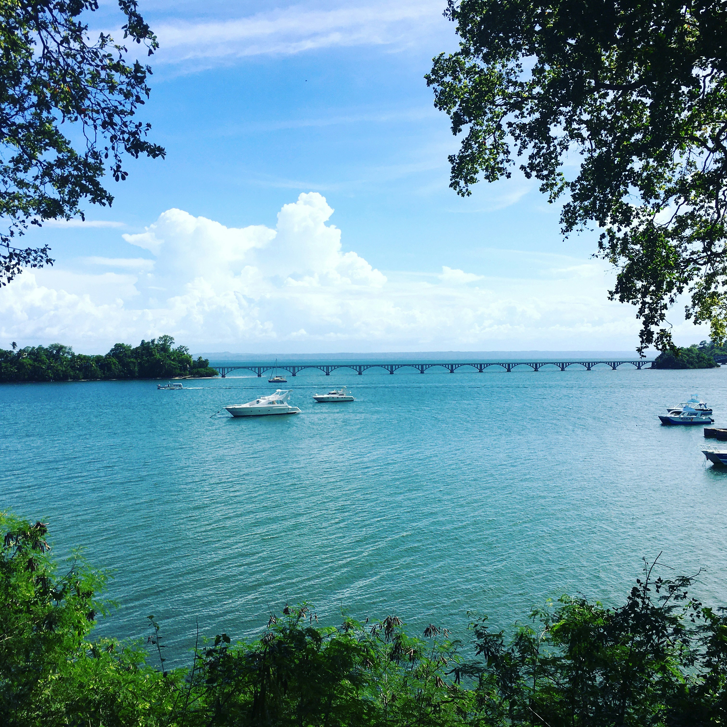 Tropical Bay View